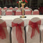 Organza Sash